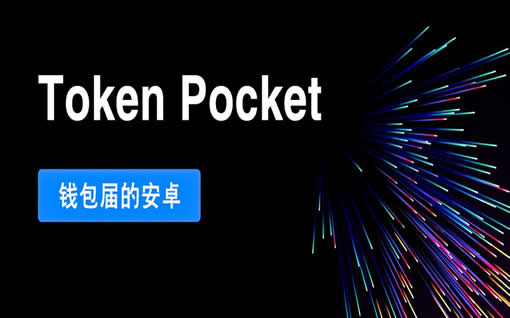 tp钱包上哪个是雪崩链